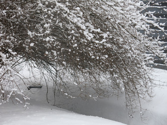 Similar image 21136537