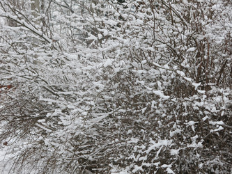 Similar image 21136538