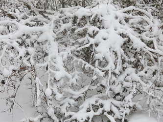 Similar image 21136539