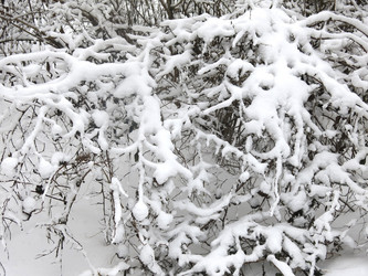 Similar image 21136540