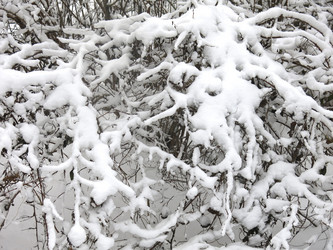 Similar image 21136541