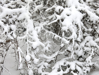 Similar image 21136542