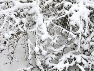 Similar image 21136543