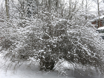 Similar image 21136544