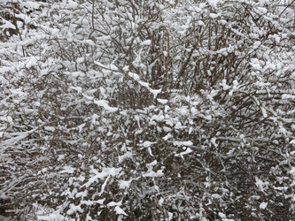 Similar image 21136545