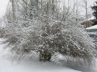 Similar image 21136546