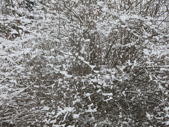 Similar image 21136547