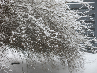 Similar image 21136548