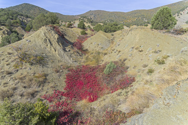 Similar image 21135885