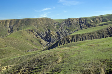 Similar image 21135891