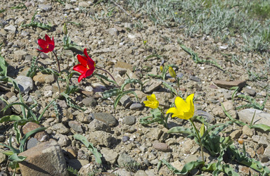 Similar image 21135893