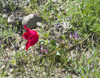 Similar image 21135894