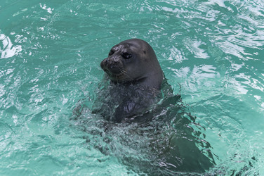 Similar image 21135898