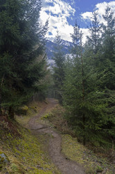 Similar image 21135902