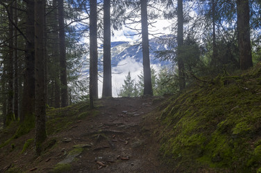 Similar image 21135904