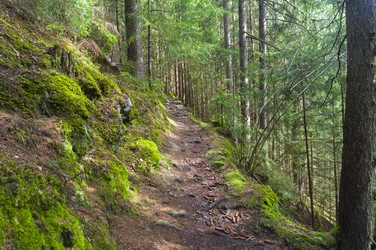 Similar image 21135905