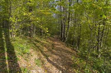 Similar image 21134615