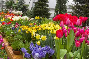 Similar image 21134617