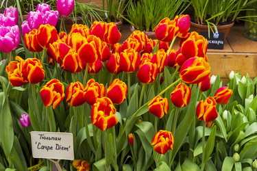 Similar image 21134618