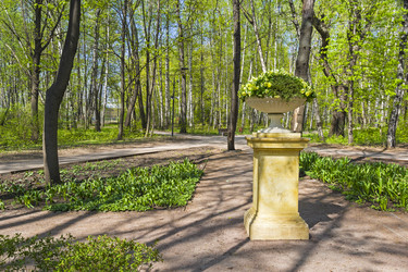 Similar image 21134619