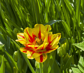 Similar image 21134620