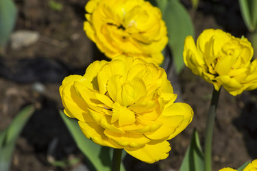 Similar image 21134621