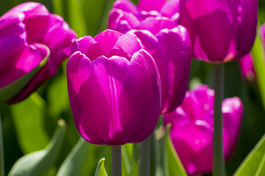 Similar image 21134622