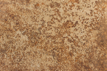 Similar image 21161509