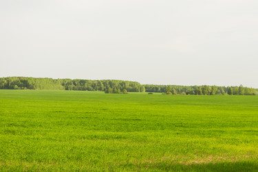 Similar image 21161525