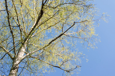 Similar image 21161526