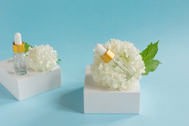 Similar image 21161536