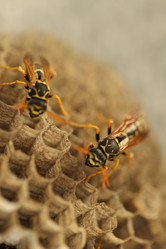 Similar image 21135940