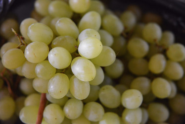 Similar image 21139455