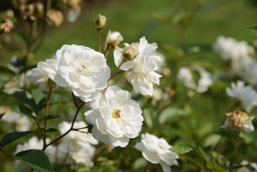 Similar image 21136028