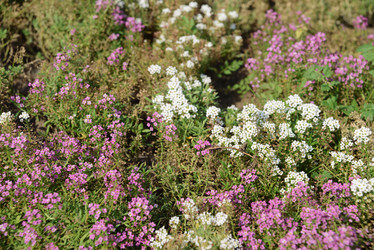 Similar image 21136030