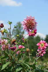 Similar image 21136031