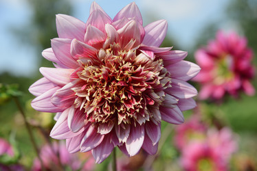 Similar image 21136032