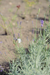 Similar image 21133550