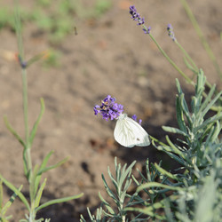 Similar image 21136034