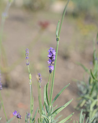 Similar image 21137643