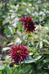 Similar image 21137644