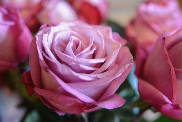 Similar image 21139459