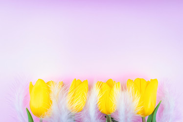 Similar image 21136698