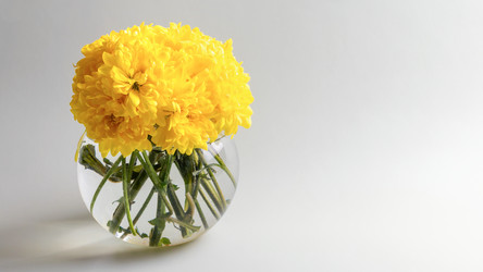 Similar image 21136700