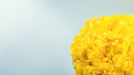 Similar image 21136703