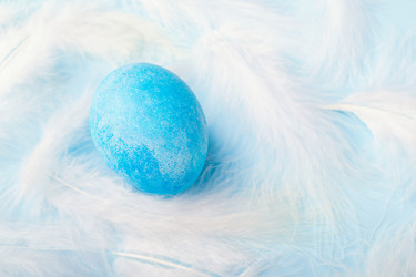 Similar image 21136705