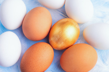 Similar image 21136707