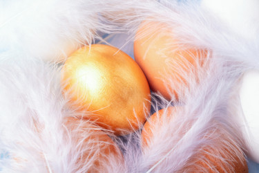 Similar image 21136709