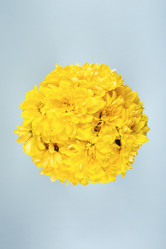 Similar image 21136713