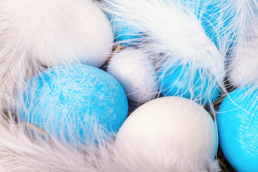 Similar image 21136725